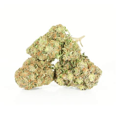 tom ford pink kush aaa indica